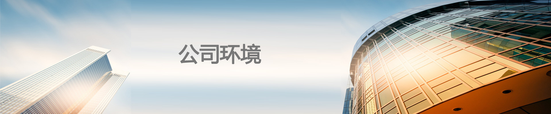 专家成员