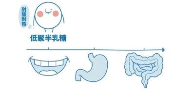 营养科普 | 国际公认的益生元——低聚半乳糖